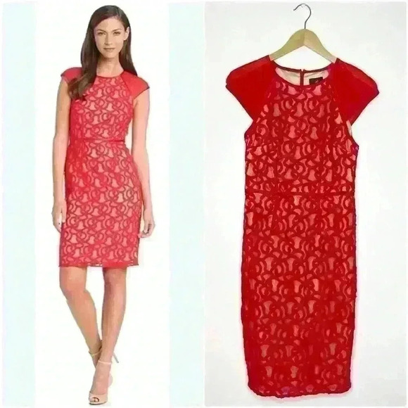 Adrianna Papell Dresses & Skirts - Adrianna Papell Women's Tonal Piped Lace Dress Size 6